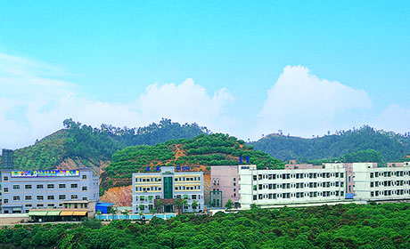 公司简介3